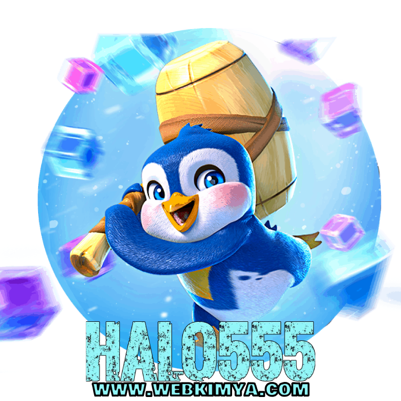halo555